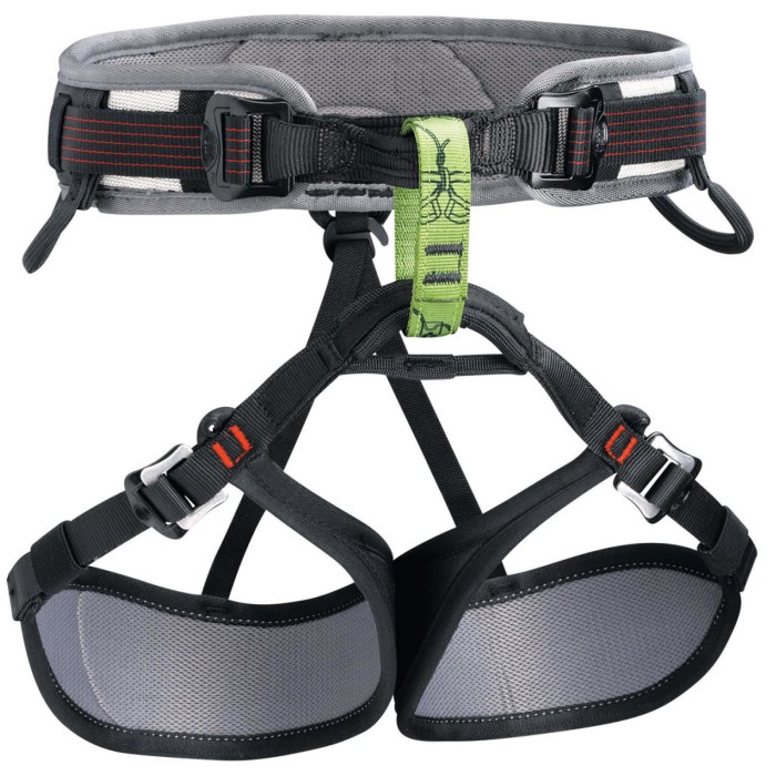 harness, climbing harness