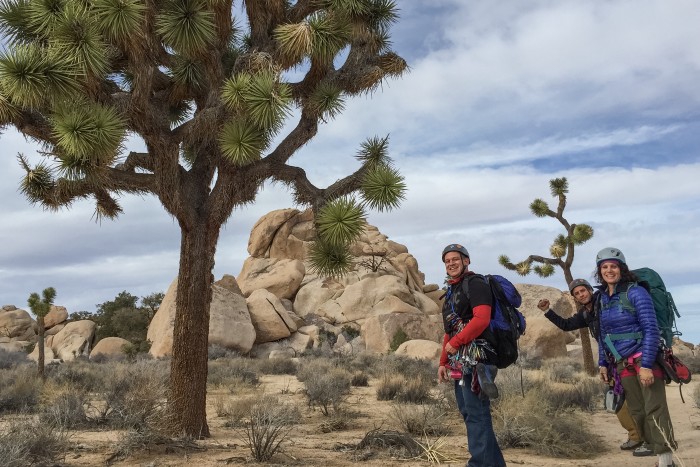 Rock climbing classes joshua tree, ca